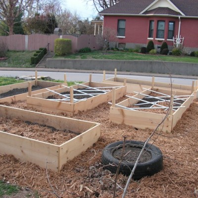 The Backyard Garden…