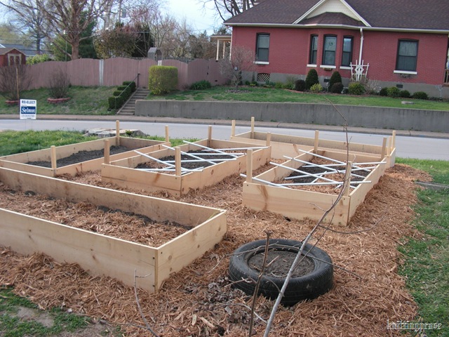 The Backyard Garden…