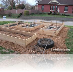 garden8x3beds