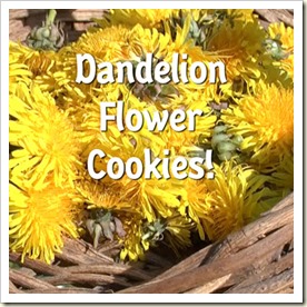 dandelionflowercookies
