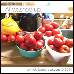 washed tomatoes