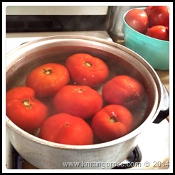 blanching tomatoes