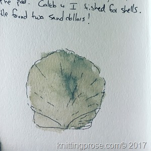 seashell sketch
